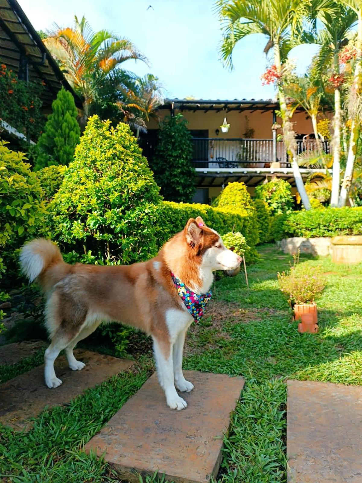 Hotel Campestre Casona Del Camino Real サン・ヒル エクステリア 写真